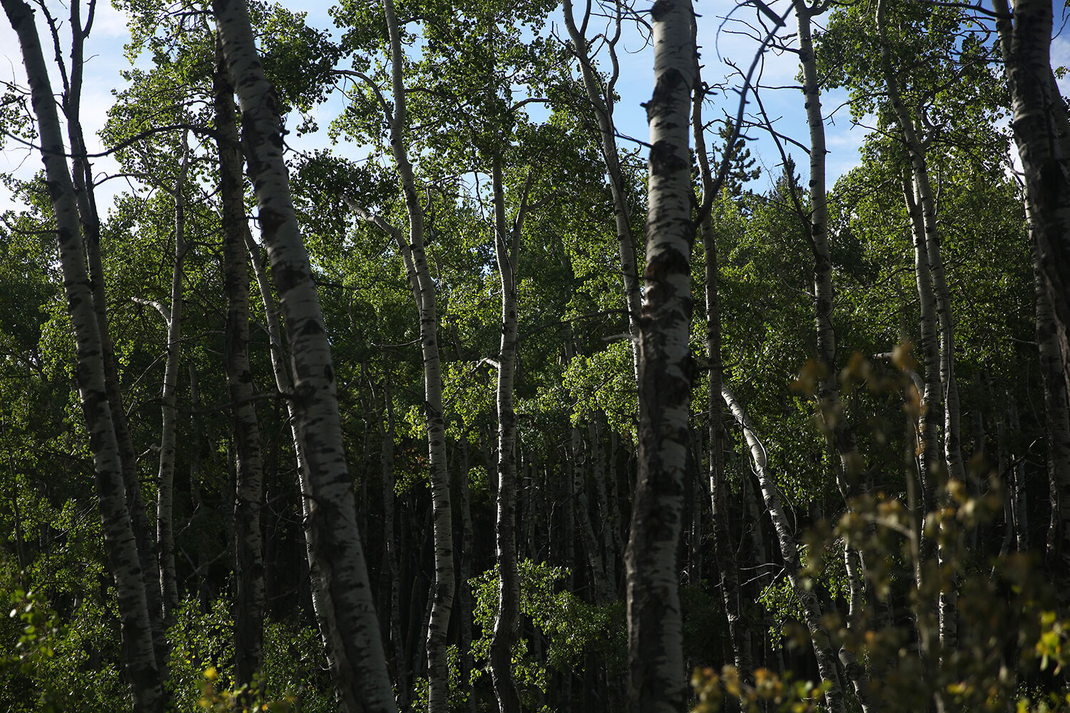Warm temperatures brought out hikers, campers and riders alike